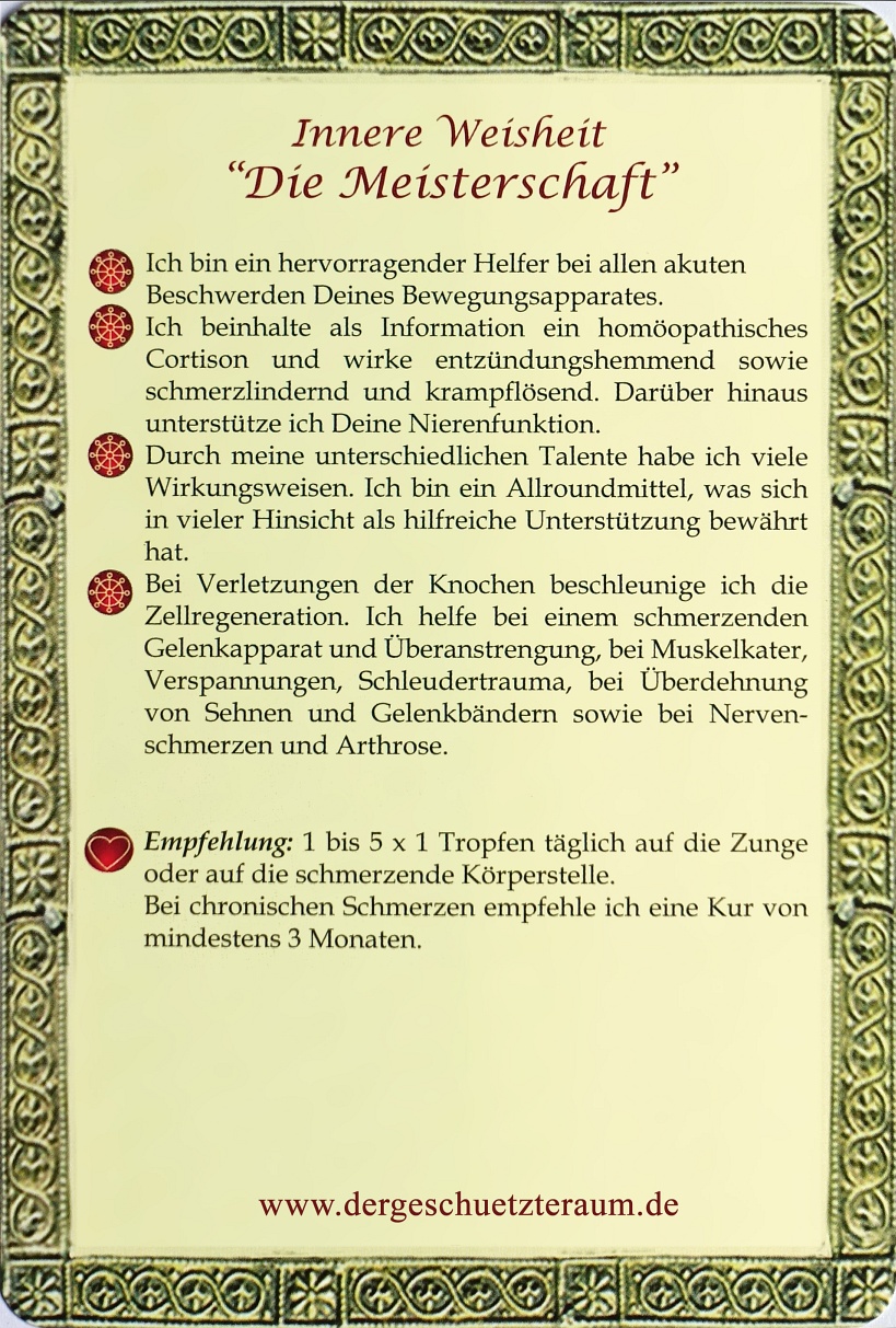 17. Meisterschaft