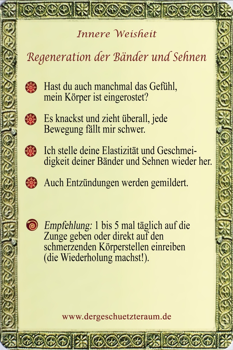 Regeneration der Bänder und Sehnen