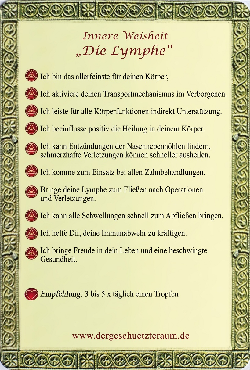 14. Lymphe